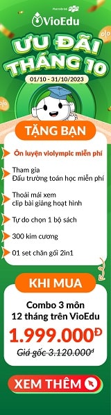VioEdu
